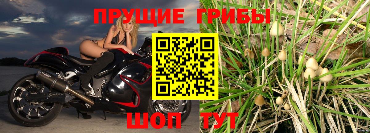 Галлюциногенные грибы Magic Shrooms Обнинск